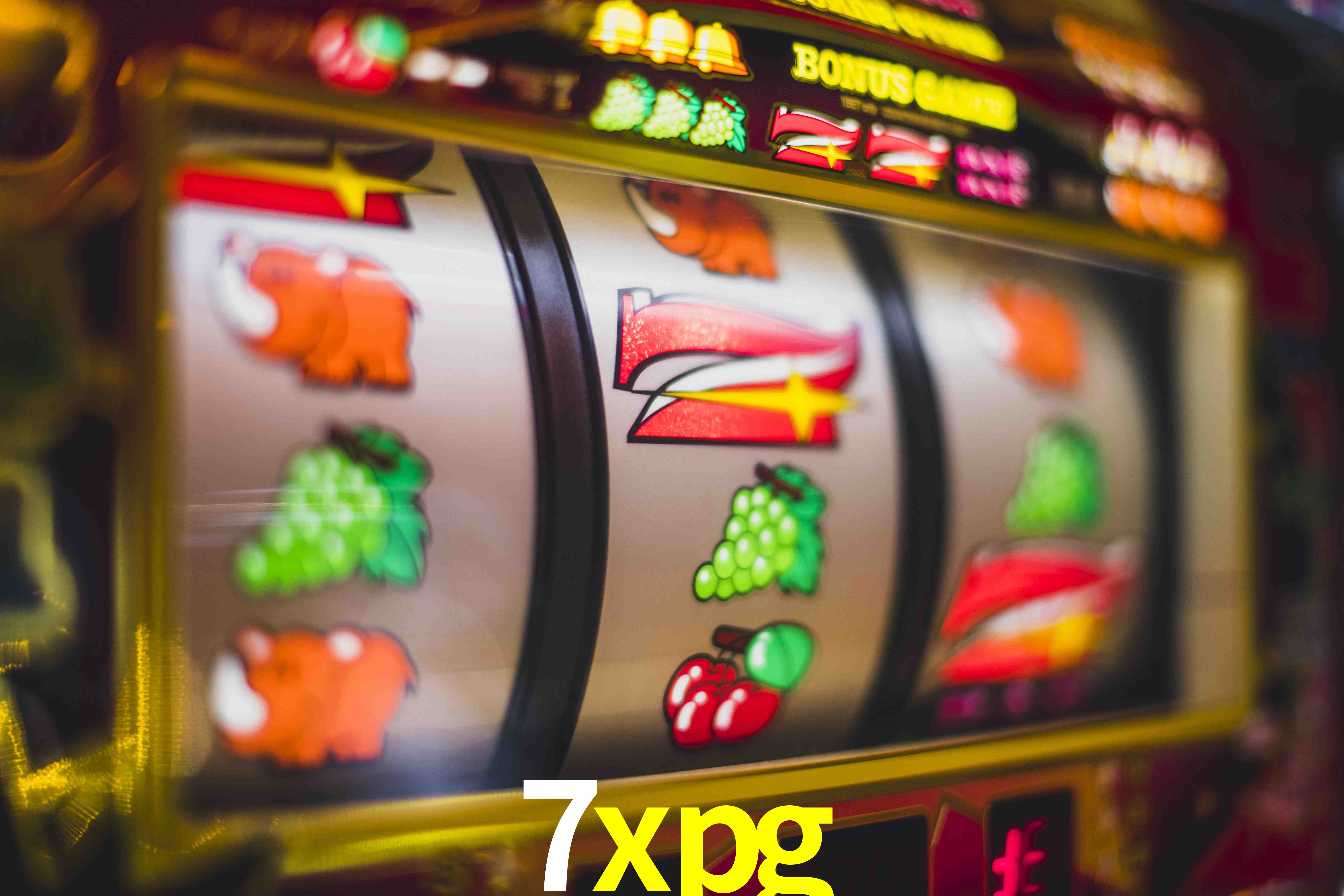 Experiência VIP 7xpg