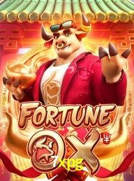 7XPG.COM